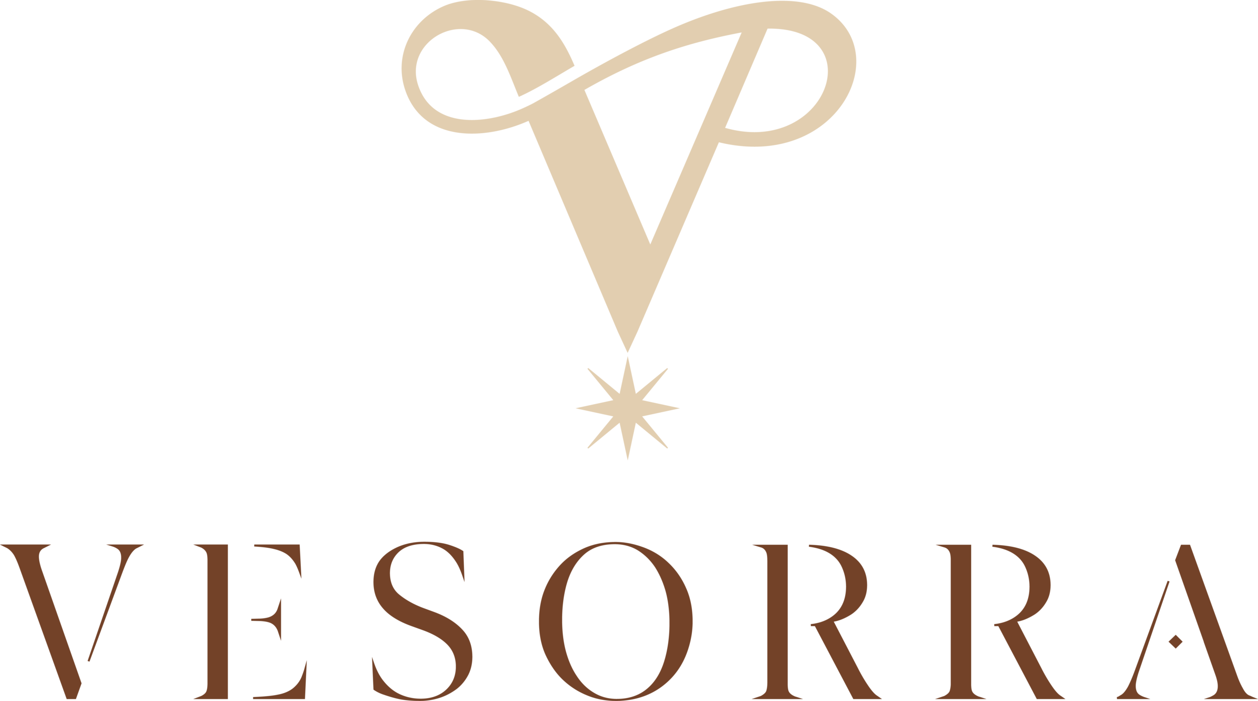 Vesorra Logo